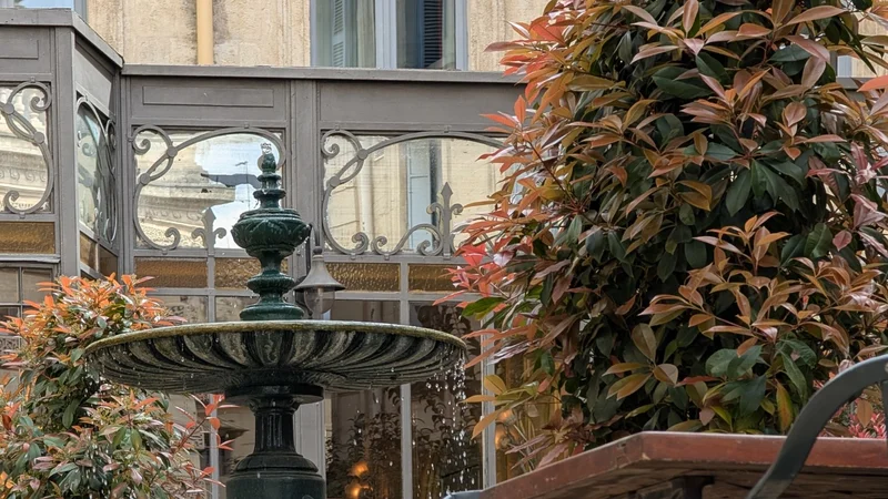 Brasserie du Theatre 3